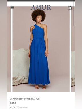 Amur Skye Deep V Pleated Gown In Size 4 / Retail Price : 698 Plus Tax